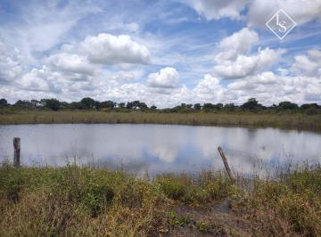 Rural · 4050ha · 1 Quarto · Fazenda 4050 ha na Jaíba - MG, terra de cultura de primeira, casas e topografia 80% plana
