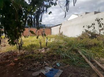Terreno · 200m² · Terreno à venda - Santa Cecília - Bonfim Paulista/SP
