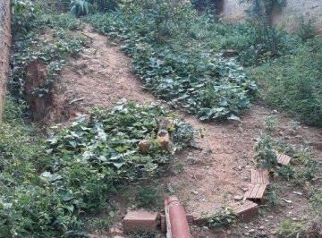 82166_i305nn0P704iR3_8216664271610764dc.jpg · TERRENO,0 Dormitorio(s) bairro Carolina