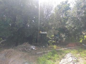 24657430_g.jpg · 
                                Terreno 
                            