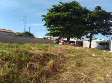 Foto 01 · Terreno, Cariobinha, Americana, SP