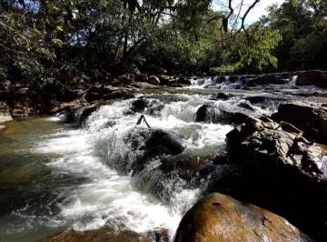 Rural de 2 quartos, Buritis · Vendo Fazenda de 46 Hectares em Buritis MG