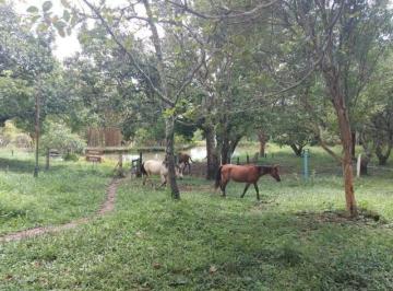 Rural , Ceilândia · Excelente fazenda no DF!