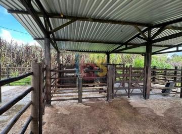 Rural · 470000m² · 3 Quartos · Vendo Fazenda Mista 47 Ha entre Uruçuca/ Ilheus