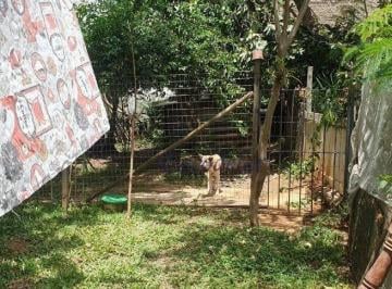 c2fe267cc101e14bd477130075c6bb516a8b74b1 · Terreno à venda, 337 m² por R$ 1.250.000,00 - Vila Mazzei - São Paulo/SP