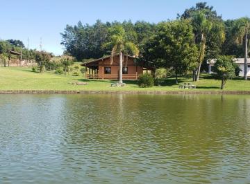 Rural de 3 quartos, Santa Maria do Herval · Belo Sitio com Infraestrutura na Serra Gaúcha Cidade de Santa Maria do Herval/RS