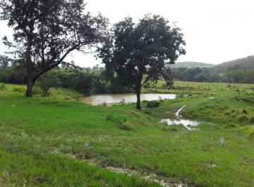 Rural , Caetanópolis · Fazenda
