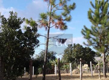 937506ea922015c2d73a917b1a9bafd7268f9567 · Terreno plano em Itapuã