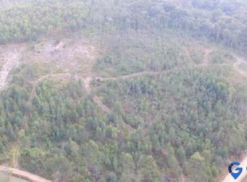 Vista da área · Área à venda no Bairro Soares do Capão em Jarinu - SP