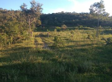 Rural de 3 quartos, Santo Antônio do Descoberto · Fazenda 120 Alqueires - DUPLA APTIDÃO 
