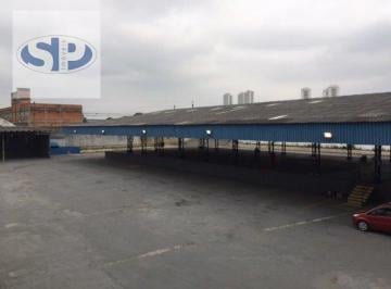 Comercial · 3078m² · 30 Vagas · Galpão em Vila Ribeiro de Barros  -  São Paulo