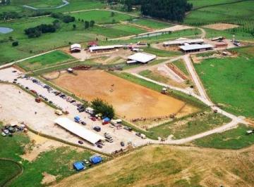 Rural de 3 quartos, Santo Antônio da Patrulha · Fazenda(Cabanha) de 126 Hectares em Santo Antonio da Patrulha Litoral Norte-RS