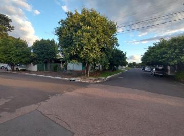 Terreno · 
                                excelente terreno 
                            