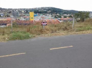 Terreno · 
                                Investimento em sapucaia do sul
                            