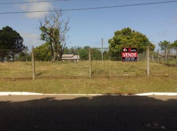 Terreno · 
                                Investimento em Glorinha
                            