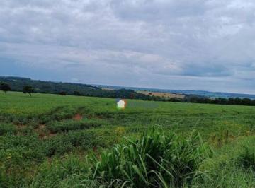 760588fdc804771ff278bdeeef794ad7b9f09903 · Fazenda à venda, BEIRA DA GO 020! 14,5 alqueires PLANOS por R$ 9.500.000 - Bela Vista de Goiás/GO
