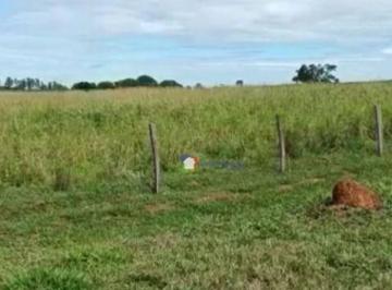 d527684903bd20293671b63905923a99451b64b8 · Fazenda 20,5 alqueires à venda, 100% plana por R$ 10.000.000 - Zona Rural - Bela Vista de Goiás/GO