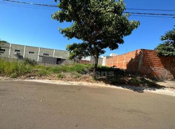 sao-jose-do-rio-preto-terreno-padrao-residencial-santa-regina-05-05-2023_14-19-36-0.webp · Residencial Santa Regina - Terreno