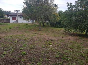 Foto 01 · Terreno, Cachoeira do Bom Jesus, Florianópolis, SC