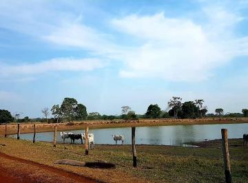 Rural de 5 quartos, Cáceres · FAZENDA SOLO ARGILOSO NO MT