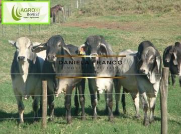 Rural · 3920400m² · 16 Quartos · Rurais à venda - em Bauru