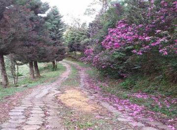Rural · 120m² · 2 Quartos · 4 Vagas · Sítio ÁGUAS MORNAS - SC