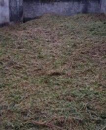 4165463c7978c2cc4e1665badb16f8af7b0d7845 · Terreno à venda, 250 m² por R$ 318.000 - Cidade Jardim - Mogi das Cruzes/SP
