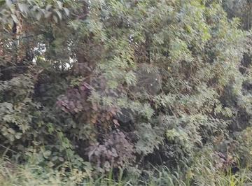 Área de Serviço · Terreno à venda em Luiz fagundes - SP