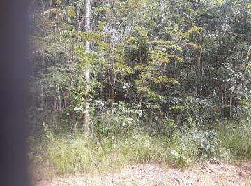 Rural , Curvelo · Fazenda