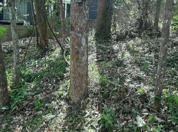 885ec5e417bd16f18e6975c65cbae9ec920100f8 · Terreno à venda, 800 m² por R$ 400.000 - Granja Viana