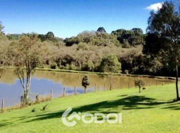 Rural · 45375m² · 4 Quartos · 4 Vagas · Chácara na Colônia Mergulhão, no Caminho do Vinho