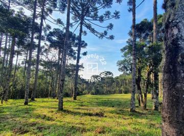 Foto 01 · Chacara, Rio Vermelho, Campo Alegre, SC