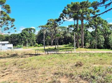 3df276d354ce921119595992cc8015b81da800a2 · TERRENO EM QUATRO BARRAS.PERFEITO PARA SEU PROJETO PRÓXIMO DA NATUREZA ÁREA DE LAZER BOSQUE ECOPARK