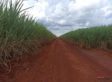 20230308172446567184.jpg · Sítio para Venda em Ituverava, RURAL