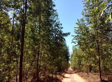 20230308173038197843.jpg · Fazenda para Venda em Três Lagoas, RURAL