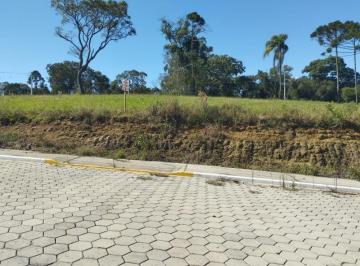 Foto 02 · Terreno, Passa Tres, Rio Negro, PR