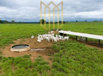 Fazenda para venda em Rosário Oeste Mt · Fazenda para venda em Rosário Oeste Mt