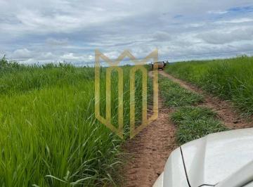 Fazenda  Paranatinga MT para venda · Fazenda  Paranatinga MT para venda