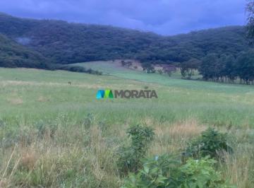 6352_ijX282U_635264418699548fe.jpg · Imoveis - na Zona Rural