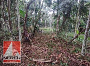 Terreno · 338800m² · EXCELENTE ÁREA COM NASCENTE EM JUQUITIBA DE 14 ALQUEIRES