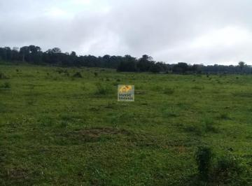 Foto 01 · SÍTIO À VENDA, CUJUBIM, RONDÔNIA