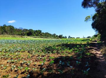 30052c501b519b5ec026656c55cec56a61a8cc00 · Área à venda, 45737 m² por R$ 1.950.000,00 - Sorocamirim - Ibiúna/SP