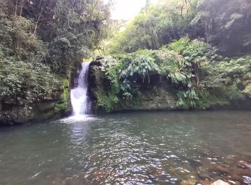 Rural de 3 quartos, São Francisco de Paula · Sitio 23 Hectare Cachoeiras em São Francisco de Paula/RS na Localidade Roça Nova