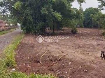 415348_iNK17G_41534865f0689e9fe4c.jpg · Terreno no bairro Arroio da Manteiga