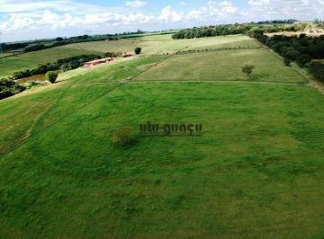 5116dbe85d84a409ec47ec3638a8b97121a15fd8 · Haras à venda, 532400 m² por R$ 20.000.000,00 - Bananal do Avecuia - Porto Feliz/SP