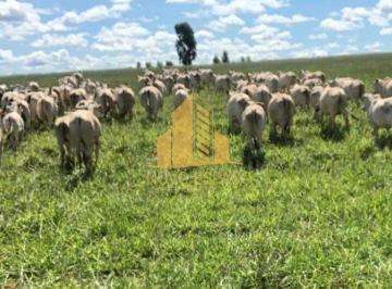 Rural · 10000000m² · 4 Quartos · Rurais à venda - em Bonito de Minas