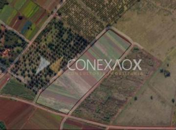 0 · área à venda em Conjunto Habitacional Residencial Olímpia