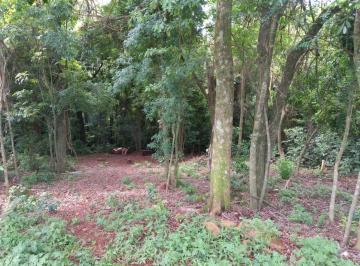 415951_i5A7ZPo9Ds_41595164513dd11ece5.jpg · Propriedade Rural no bairro Linha Santa Rita