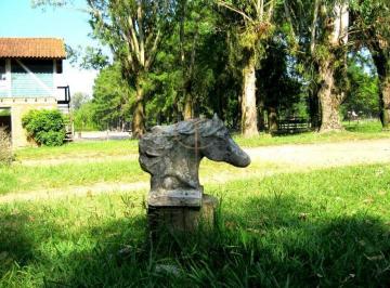 25106404_g.jpg ·
HARAS ,PORTO ALEGRE
