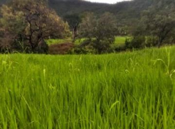 Rural de 2 quartos, Colinas do Sul · FAZENDA PARA PECUÁRIA E CONFINAMENTO